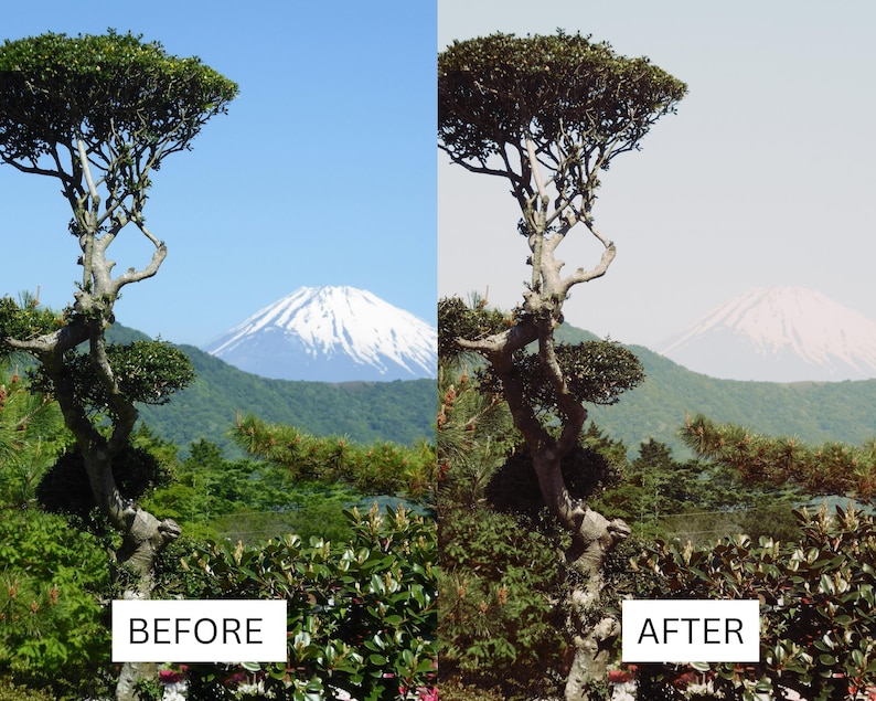 Op de afbeelding: Een gesplitste afbeelding die een landschap voor en na fotobewerking toont. De "Voor"-afbeelding toont een levendige sc&egrave;ne met een boom, weelderig groen en een berg met een besneeuwde top onder een blauwe lucht. De "Na"-afbeelding heeft gedempte kleuren.