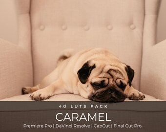 40 LUTs color caramelo / Paquete de LUTs de corrección de color neutro cálido para estilo de vida y diseño de interiores para Premiere Pro, CapCut y DaVinci Resolve.
