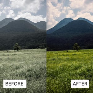 40 Cinematic Green LUTs | Nature & Forest Color Grading | Landscape, Hiking Video | Premiere Pro, CapCut, Final Cut Pro, DaVinci Resolve image 16