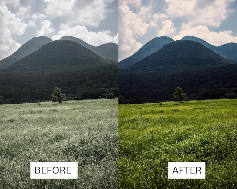 40 Cinematic Green LUTs | Nature & Forest Color Grading | Landscape, Hiking Video | Premiere Pro, CapCut, Final Cut Pro, DaVinci Resolve image 16
