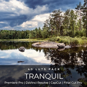 Puede incluir: Una fotografía de paisaje de un lago tranquilo que refleja un cielo nublado y un denso bosque de pinos verdes, con una gran formación rocosa en el agua. El texto 40 LUTS PACK TRANQUIL Premiere Pro | DaVinci Resolve | CapCut | Final Cut Pro está superpuesto.