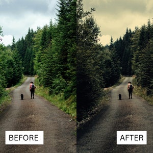May include: A person walks down a paved road in a forest with a dog. The road is lined with tall trees on both sides. The sky is overcast and the trees are a dark green.