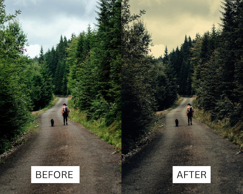 May include: A person walks down a paved road in a forest with a dog. The road is lined with tall trees on both sides. The sky is overcast and the trees are a dark green.