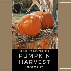May include: Two bright orange pumpkins rest on a bed of straw, with a blurred background of foliage. The pumpkins are the focal point, showcasing their round shape and textured skin. The image includes text that reads "PUMPKIN HARVEST DESKTOP ONLY."