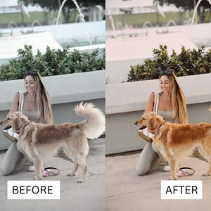 May include: A side-by-side comparison showing a golden-colored dog with a patterned collar and a person wearing a beige tank top and pants. The left side displays a cooler, desaturated tone, while the right side features warmer, vibrant colors.
