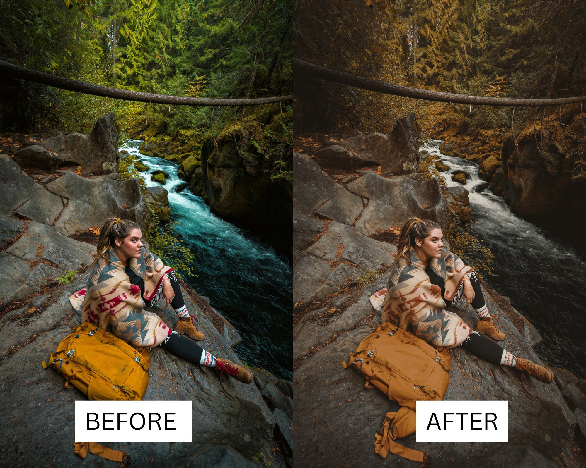 Rustic Picture Editing Examples 50 LUTS | Forest Mood | Rustic | Nature | Hiking | Trees | Premiere Pro ...