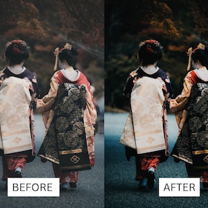 40 LUT cinematografiche giapponesi / Pacchetto di color grading in stile Tokyo Film per Premiere Pro, CapCut e DaVinci Resolve / LUT per filmmaker di viaggio immagine 7