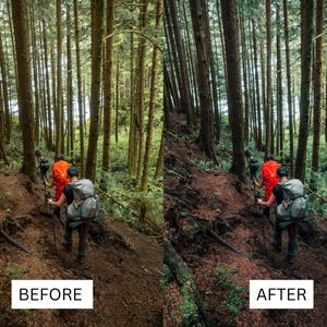 May include: Two people hike through a forest on a dirt path. They are wearing backpacks and carrying hiking poles. The trees are tall and green, and the ground is covered in leaves.