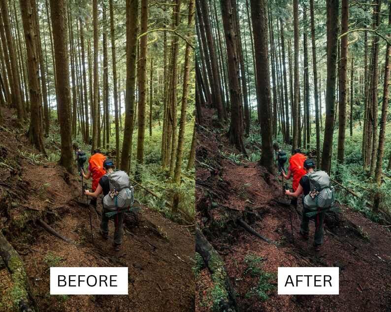 May include: Two people hike through a forest on a dirt path. They are wearing backpacks and carrying hiking poles. The trees are tall and green, and the ground is covered in leaves.