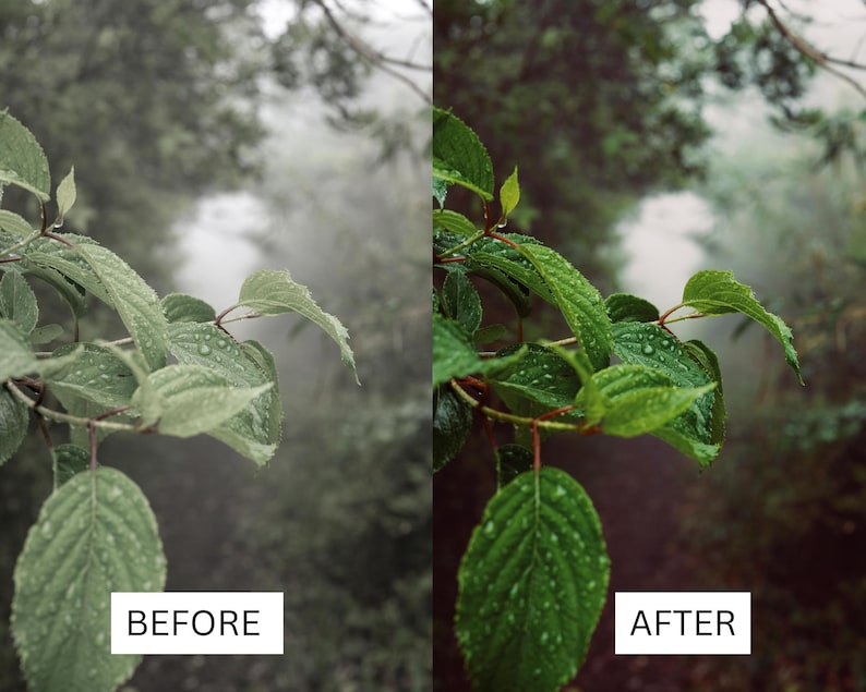 40 Cinematic Green LUTs | Nature & Forest Color Grading | Landscape, Hiking Video | Premiere Pro, CapCut, Final Cut Pro, DaVinci Resolve image 2