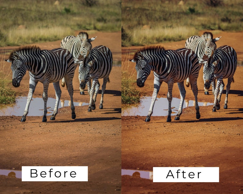 Op de afbeelding: Een groep van vier zebra's die over een zandweg lopen met een plas water in het midden. De zebra's zijn zwart-wit gestreept. De weg is bruin en stoffig. De zebra's lopen in een rij achter elkaar.