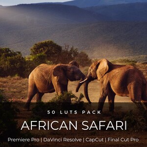 50 Afrikaanse safari-LUT's | Natuurdocumentaire kleurgradatie voor Premiere Pro, CapCut en DaVinci Resolve | LUT-pakket filmische film afbeelding 1