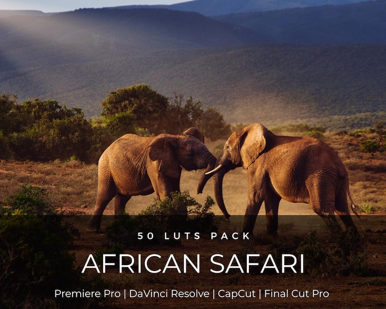 50 Afrikaanse safari-LUT's | Natuurdocumentaire kleurgradatie voor Premiere Pro, CapCut en DaVinci Resolve | LUT-pakket filmische film afbeelding 1