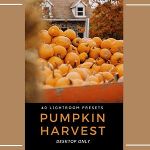 40 Pumpkin Patch Lightroom Presets | Halloween | Autumn (Desktop Only)