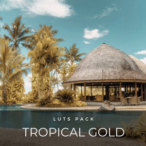 40 LUTS | Tropisches Gold | Insel | Palmen | Premiere Pro| Photoshop | After Effects | Video-Presets | Schnitt | Filter