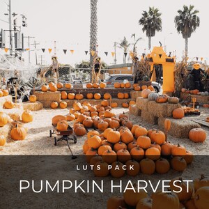 May include: A large pile of orange pumpkins in front of a brick wall. The pumpkins are arranged in a pyramid shape and are surrounded by hay bales. There are palm trees in the background. The text "LUTS PACK PUMPKIN HARVEST" is displayed at the bottom of the image.