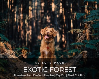 May include: A golden-brown dog with a white chest patch sits in a forest setting. The text reads 40 LUTS PACK EXOTIC FOREST Premiere Pro | DaVinci Resolve | CapCut | Final Cut Pro. The dog has a collar with a red circular tag and an open mouth.