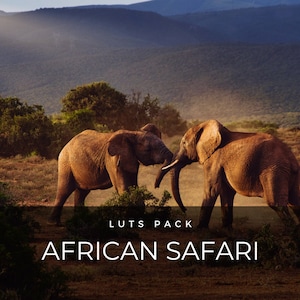 50 LUTS | アフリカの野生動物 | アフリカ | 野生 | 動物 | サバンナ | サファリ | Premiere Pro | Photoshop | ビデオプリセット | After Effects | フィルター