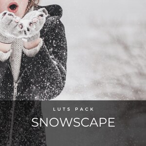 40 LUTS | Snowscape | Video Presets | Video Editing | Video Filters | Premiere Pro | After Effects | Winter | Snow | Christmas | Photoshop