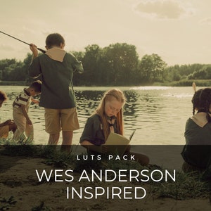 40 LUTS | Wes Anderson Inspired | Movie | Cinematic | Film | Aesthetic | Premiere Pro | After Effects | Photoshop | Video Presets | Filters