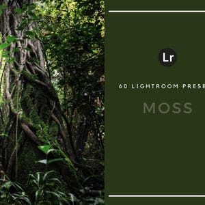 May include: A set of 60 Lightroom presets for editing photos, featuring a green mossy tree trunk with vines. The text "Lr" and "60 Lightroom Presets Moss" is displayed on a dark green background.