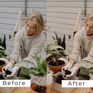 Puede incluir: Una persona con guantes est&aacute; a&ntilde;adiendo tierra a una planta en maceta. La planta est&aacute; en una maceta marr&oacute;n y tiene hojas verdes con vetas blancas. La persona lleva un su&eacute;ter beige y gafas. El fondo es una pared gris clara.