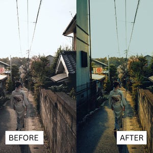 40 LUT cinematografiche giapponesi / Pacchetto di color grading in stile Tokyo Film per Premiere Pro, CapCut e DaVinci Resolve / LUT per filmmaker di viaggio immagine 19
