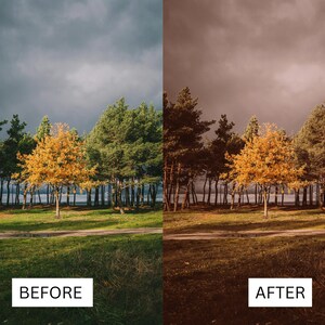 Puede incluir: Una imagen antes y despu&eacute;s que muestra el efecto de un filtro fotogr&aacute;fico. La imagen antes muestra una fila de &aacute;rboles con un solo &aacute;rbol amarillo en el centro. La imagen despu&eacute;s muestra la misma escena con un filtro de tono sepia c&aacute;lido aplicado.