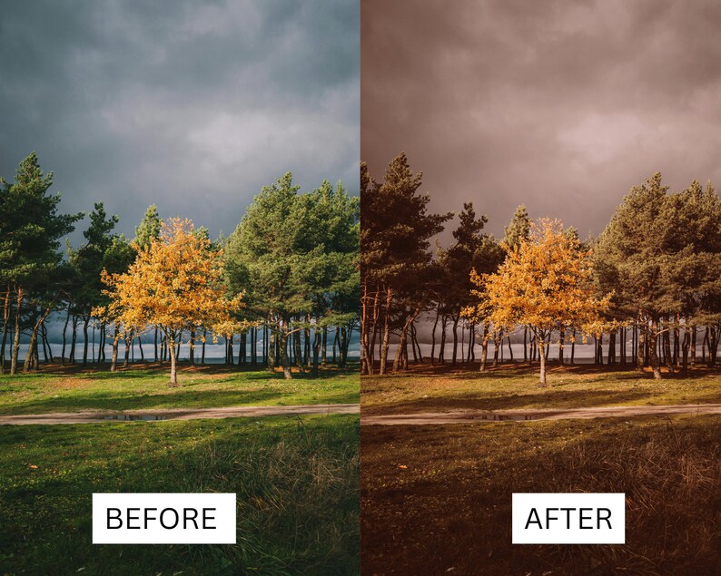 Puede incluir: Una imagen antes y despu&eacute;s que muestra el efecto de un filtro fotogr&aacute;fico. La imagen antes muestra una fila de &aacute;rboles con un solo &aacute;rbol amarillo en el centro. La imagen despu&eacute;s muestra la misma escena con un filtro de tono sepia c&aacute;lido aplicado.