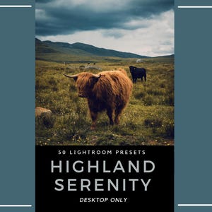 Pode incluir: Uma listagem de produto digital com uma fotografia de uma vaca Highland peluda de cor gengibre e uma vaca preta num campo relvado sob um céu nublado. O texto diz 50 LIGHTROOM PRESETS HIGHLAND SERENITY DESKTOP ONLY num fundo preto.