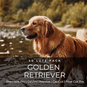 May include: A golden retriever stands in shallow water, featuring a digital product overlay with the text 40 LUTS PACK GOLDEN RETRIEVER Premiere Pro | DaVinci Resolve | CapCut | Final Cut Pro, showcasing the dog's fur and profile.