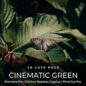 Paquete de 40 LUTs verdes cinematográficos / LUTs de corrección de color para naturaleza y paisajes para Premiere Pro, CapCut, DaVinci Resolve / Aspecto cinematográfico exuberante