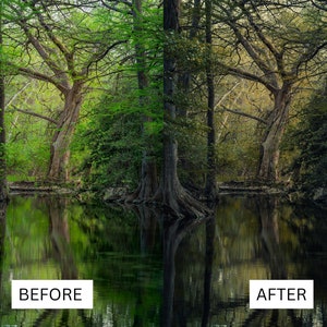 May include: A before and after image showing the difference in color saturation. The image on the left shows a lush green forest with a river running through it. The image on the right shows the same forest with the colors desaturated, making the forest appear darker and more muted.