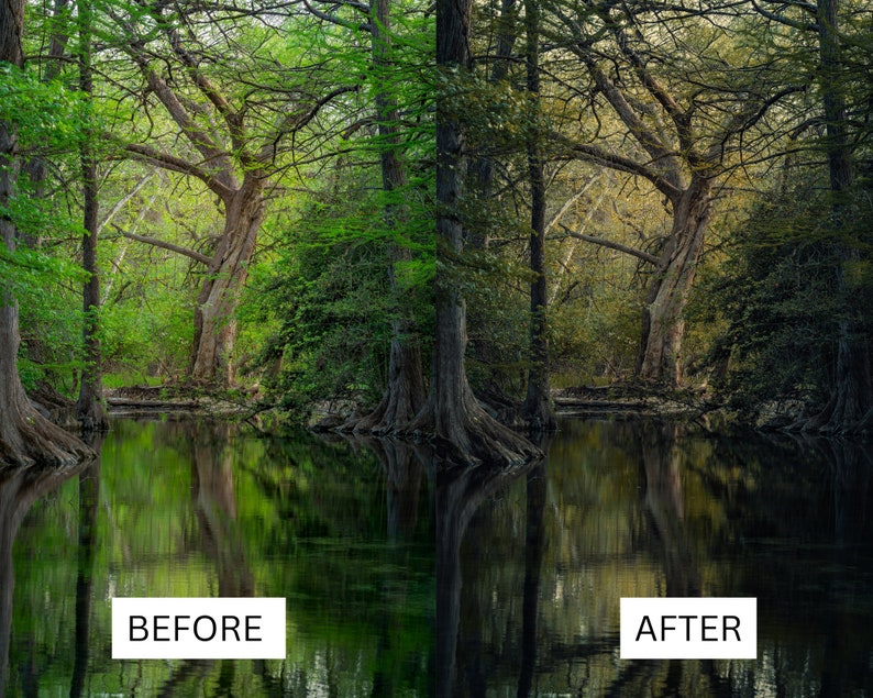 May include: A before and after image showing the difference in color saturation. The image on the left shows a lush green forest with a river running through it. The image on the right shows the same forest with the colors desaturated, making the forest appear darker and more muted.