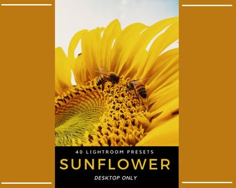 Puede incluir: Un girasol amarillo brillante con dos abejas en su centro. Debajo de la flor, un gráfico rectangular negro contiene el texto blanco 40 LIGHTROOM PRESETS, el texto amarillo SUNFLOWER y el texto blanco DESKTOP ONLY, todo enmarcado por bordes dorados.