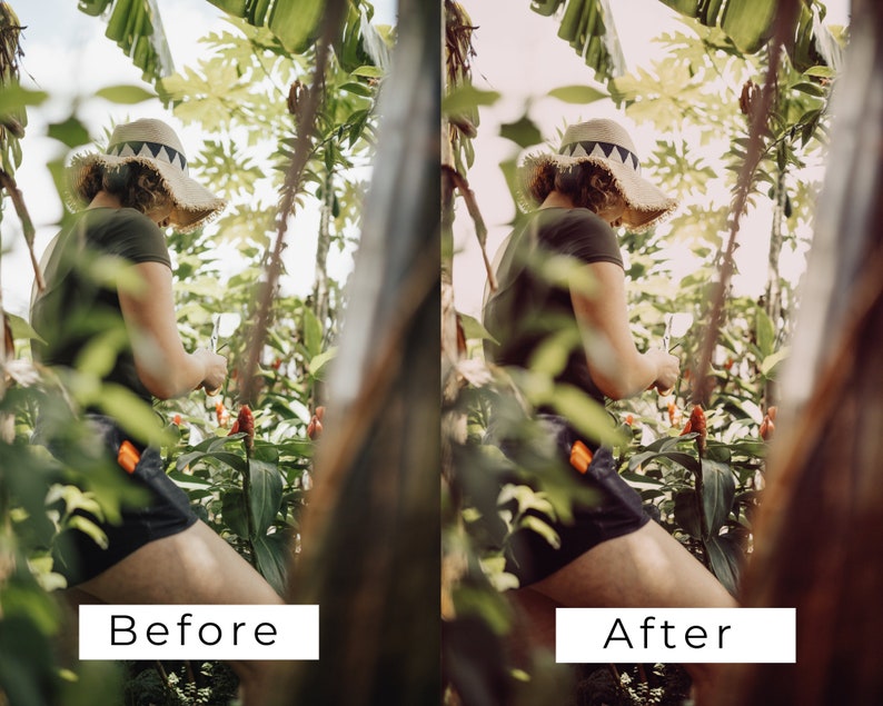 40 LUTs botánicas vintage / Corrección de color con aspecto de película verde para Premiere Pro, CapCut y DaVinci Resolve / Paquete de LUTs de vídeo con estética de jardín imagen 8