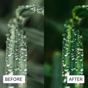 40 Cinematic Green LUTs | Nature & Forest Color Grading | Landscape, Hiking Video | Premiere Pro, CapCut, Final Cut Pro, DaVinci Resolve image 5
