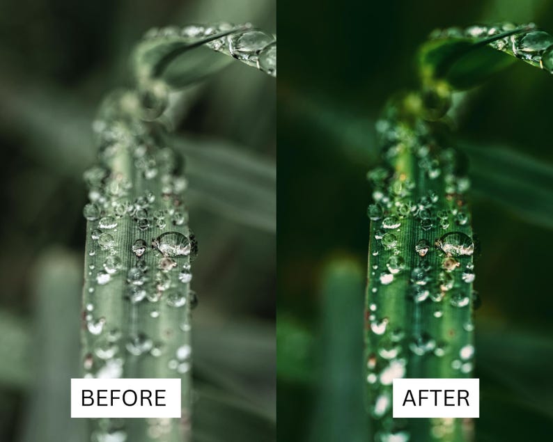 40 Cinematic Green LUTs | Nature & Forest Color Grading | Landscape, Hiking Video | Premiere Pro, CapCut, Final Cut Pro, DaVinci Resolve image 5