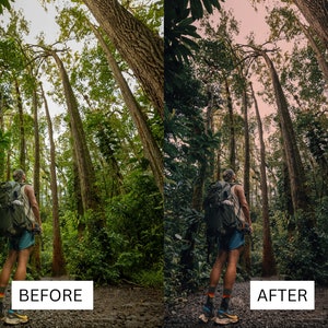 May include: A person wearing a backpack stands in a lush green forest with tall trees. The person is looking up at the trees. The image is split into two sections, with the left side showing the original image and the right side showing the edited image. The text "BEFORE" is below the left image and the text "AFTER" is below the right image.