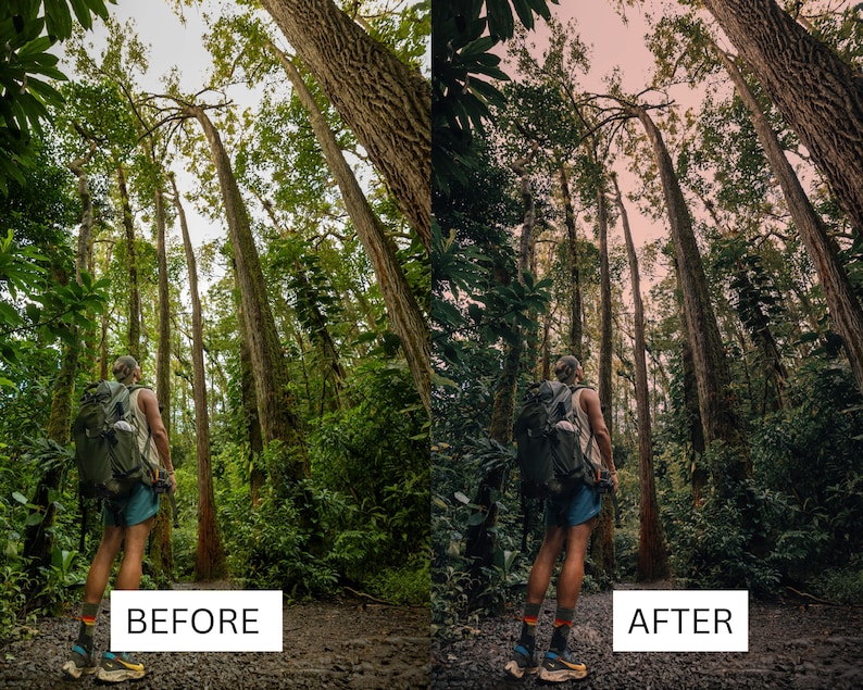 May include: A person wearing a backpack stands in a lush green forest with tall trees. The person is looking up at the trees. The image is split into two sections, with the left side showing the original image and the right side showing the edited image. The text "BEFORE" is below the left image and the text "AFTER" is below the right image.