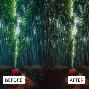 May include: A split image showing a bamboo forest before and after photo editing. The forest is filled with tall, green bamboo stalks, creating a tunnel-like effect. The text "BEFORE" and "AFTER" are displayed in white rectangles.