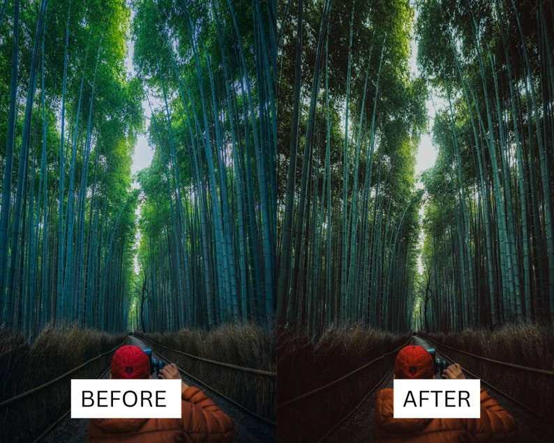 May include: A split image showing a bamboo forest before and after photo editing. The forest is filled with tall, green bamboo stalks, creating a tunnel-like effect. The text "BEFORE" and "AFTER" are displayed in white rectangles.