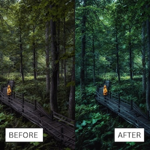 May include: A person in a yellow raincoat walks on a wooden path through a lush green forest. The path is surrounded by tall trees and ferns.
