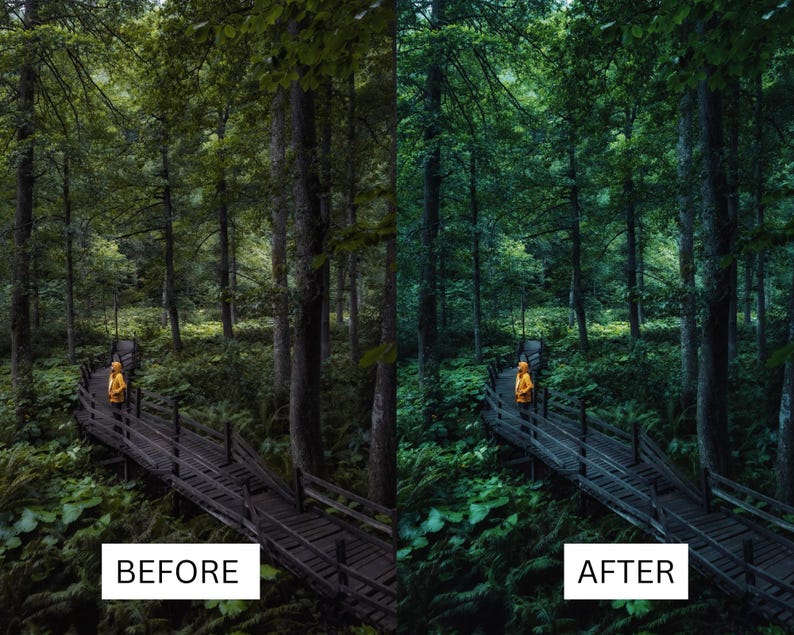 May include: A person in a yellow raincoat walks on a wooden path through a lush green forest. The path is surrounded by tall trees and ferns.