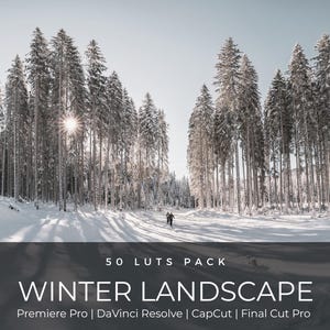 50 vinterfilmiska LUT-paket | Färggraderings-LUT:er för snö och alpina landskap för Premiere Pro, CapCut, DaVinci Resolve | Förinställningar för filmutseende bild 1