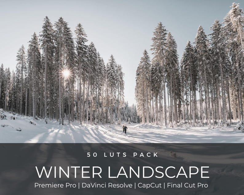 50 vinterfilmiska LUT-paket | Färggraderings-LUT:er för snö och alpina landskap för Premiere Pro, CapCut, DaVinci Resolve | Förinställningar för filmutseende bild 1