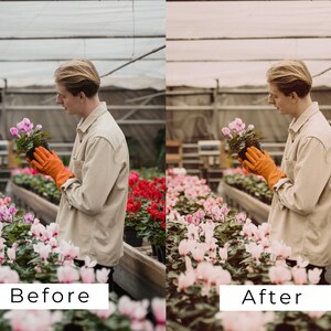 40 LUTs botánicas vintage / Corrección de color con aspecto de película verde para Premiere Pro, CapCut y DaVinci Resolve / Paquete de LUTs de vídeo con estética de jardín imagen 2