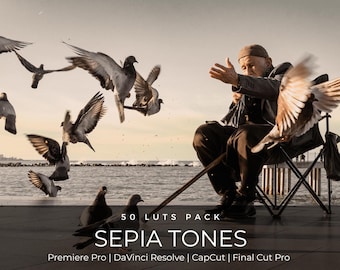 Paquete de 50 LUTs Sepia / Aspecto de película cálida / Corrección de color cinematográfica para Premiere Pro, CapCut, DaVinci Resolve