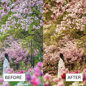 K&ouml;nnte beinhalten: Eine Frau in einem hellblauen Kleid steht in einem Feld mit rosa Kirschbl&uuml;ten. Das Bild ist in zwei H&auml;lften geteilt, wobei die linke Seite das Originalbild und die rechte Seite das bearbeitete Bild zeigt. Der Text "VORHER" befindet sich auf der linken Seite und "NACHHER" auf der rechten Seite.
