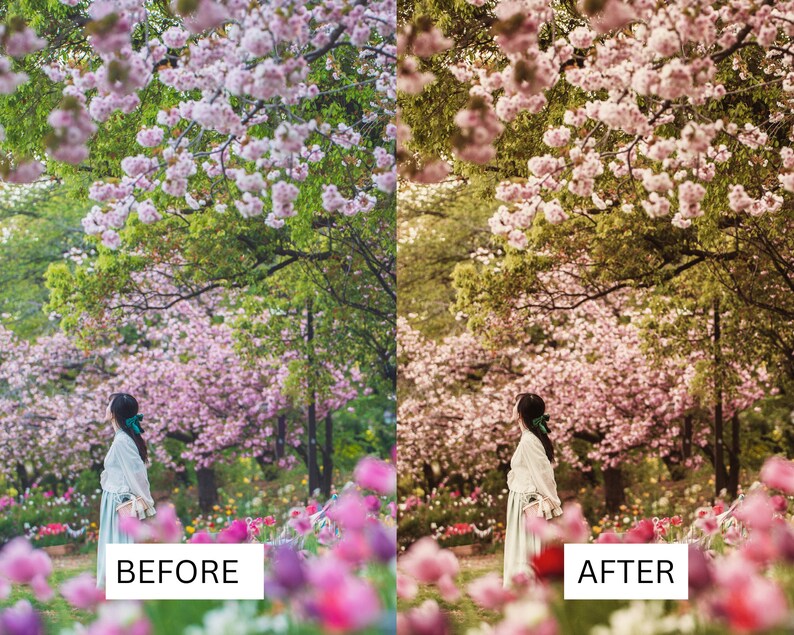 K&ouml;nnte beinhalten: Eine Frau in einem hellblauen Kleid steht in einem Feld mit rosa Kirschbl&uuml;ten. Das Bild ist in zwei H&auml;lften geteilt, wobei die linke Seite das Originalbild und die rechte Seite das bearbeitete Bild zeigt. Der Text "VORHER" befindet sich auf der linken Seite und "NACHHER" auf der rechten Seite.